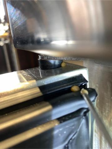 象勤環境消毒工作室 - 蟑螂防治