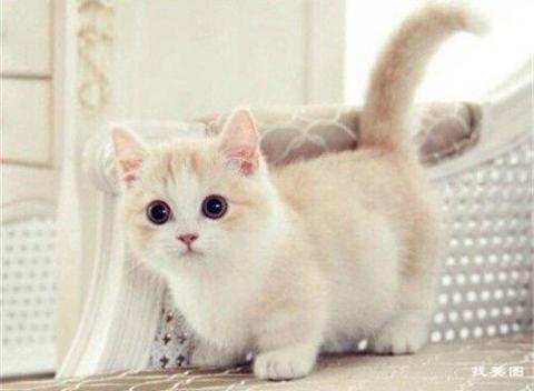 提供潤稿服務的專家徐小姐