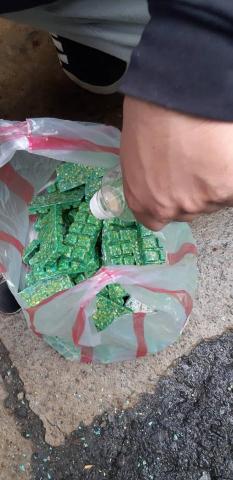 嘉澤環保有限公司（滅鼠封堵工程） - 鼠藥防治