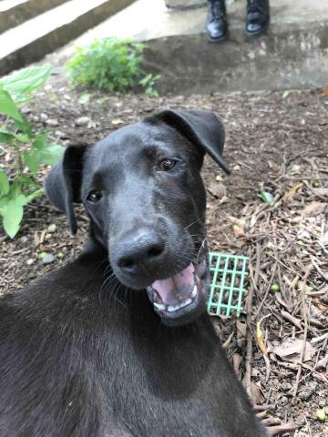 旺旺來散步去 - 耍賴了喔！