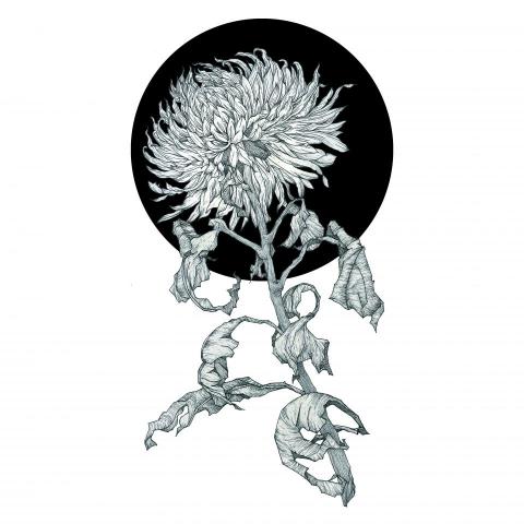 劉岳航 - 插畫作品