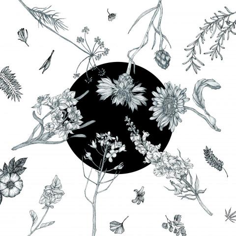 劉岳航 - 插畫作品