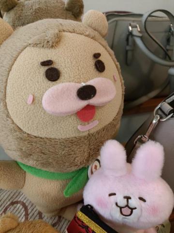 提供感應燈條服務的專家遭樂兔工作室