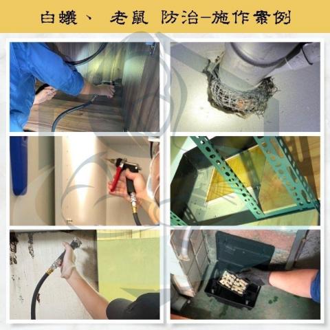 川瑞病媒防治有限公司 - 施作案例：白蟻、老鼠