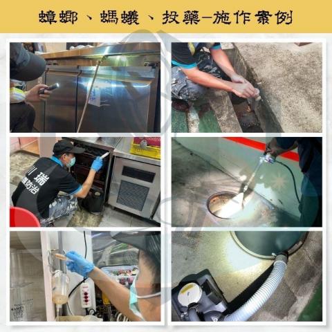川瑞病媒防治有限公司 - 施作案例：蟑螂、螞蟻、投藥