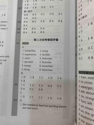 陳宣廷 - 國二英文伴讀