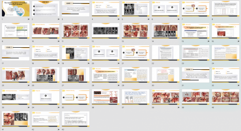 好日子企劃AGoodDayPlan - 商業簡報製作_醫療類(牙醫碩士論文) 好日子企劃AGoodDayPlan - 商業簡報製作_醫療類(牙醫碩士論文)