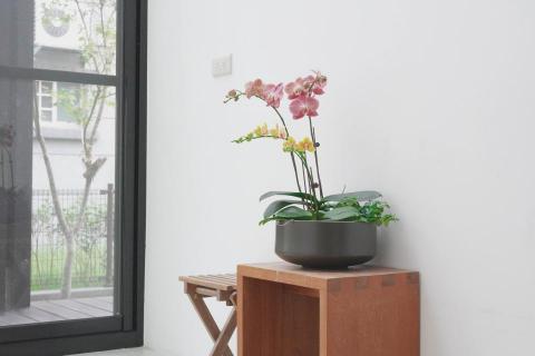 提供影片去背服務的專家鄭志偉