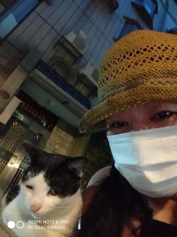 提供射箭靶服務的專家未命名公司