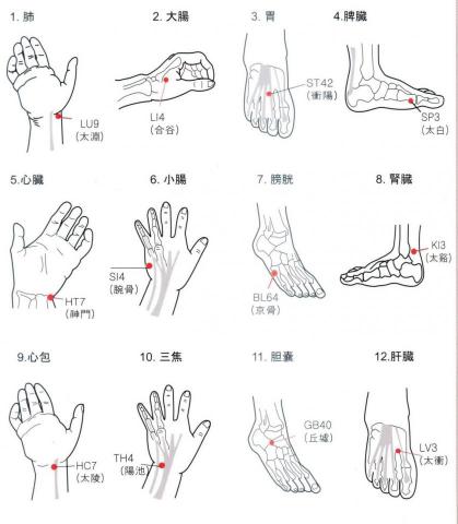 天禧健康工作室 - 