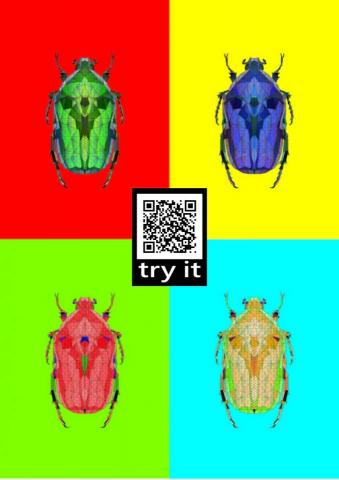 柏霖工作室 - 大學作品:四金龜