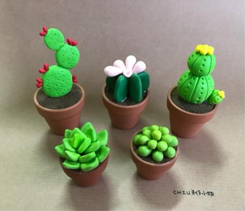 小球 - 療癒系植栽/教學創作/商品創作