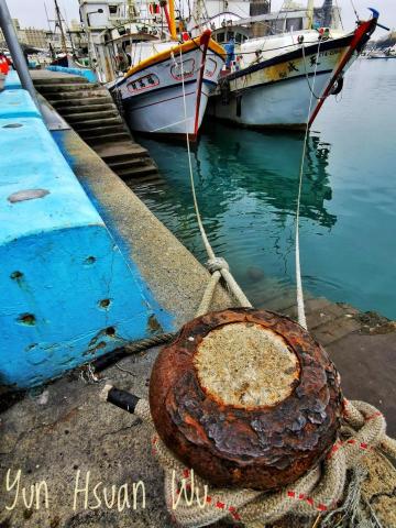 Bella的攝影園地 - 