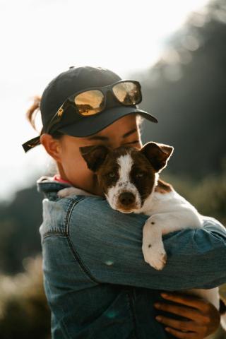 MDTS芽出國際有限公司 - 寵物攝影 MDTS芽出國際有限公司 - 寵物攝影