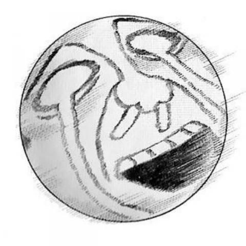 提供unity服務的專家SugarHo