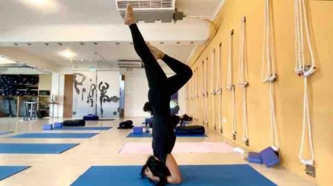 Linda 瑜珈 - 哈達正位流動修復 - Headstand 變化式
