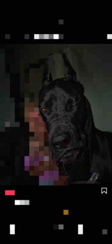 提供711貨態服務的專家曾小峰