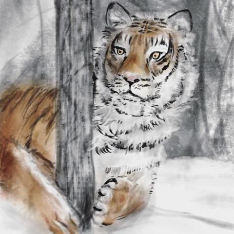 Yen - 繪圖 Yen - 繪圖