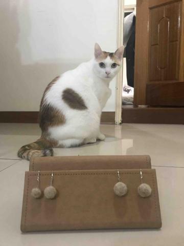 逼逼逼。配音。手作 - 貓毛氈耳環（耳勾）