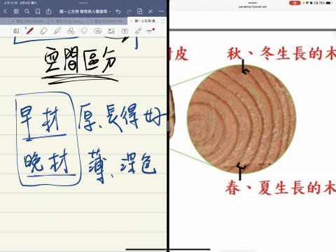 吳珮榆（臺灣大學） - 圖像教生物