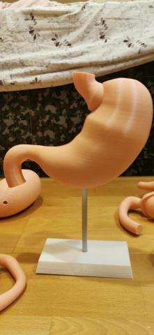 MIOS - 胃建模與列印