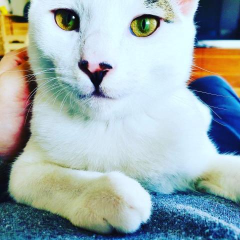 提供澎湖衝浪服務的專家智繪數位多媒體工作室