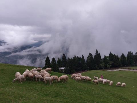 提供中文打字速度標準服務的專家Nini