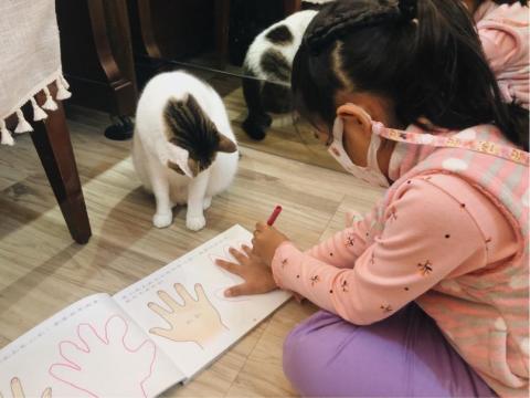 Patty Music Studio🎼/新莊音樂工作室 - 貓咪助教很認真在看小朋友畫畫