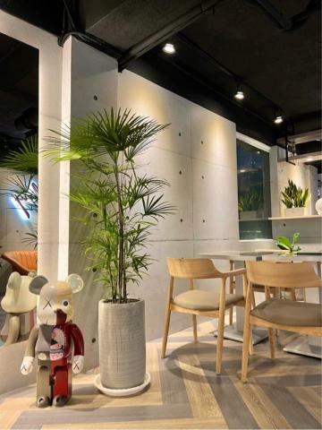 FEELING FITNESS 感受創新體態訓練所 -  FEELING FITNESS 感受創新體態訓練所 -