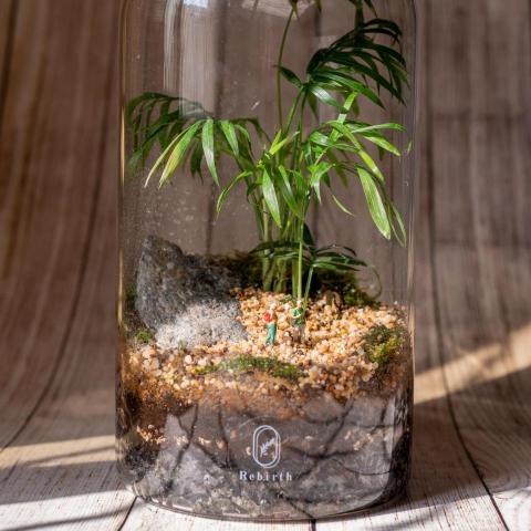 Jhao - 產品攝影-生態瓶