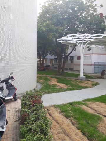 精工匠企業社(統編)91470157 - 造型園藝