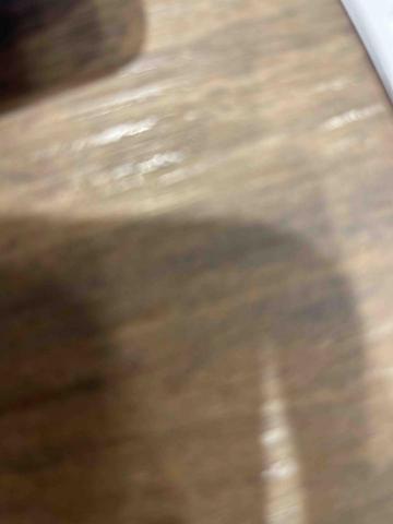 提供行銷學服務的專家張雅茜