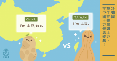 Trudy Chuang - 文章插畫