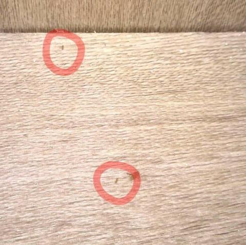 嘉澤滅鼠封堵防治工程 -  嘉澤滅鼠封堵防治工程 -