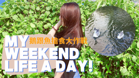 不專業接案工作室 - yt影片縮圖封面