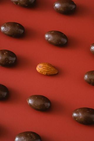 吉君攝影工作室 - 