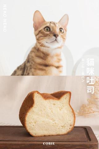 吉君攝影工作室 - 