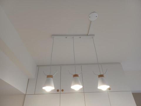 彭建龍 - 餐吊燈安裝