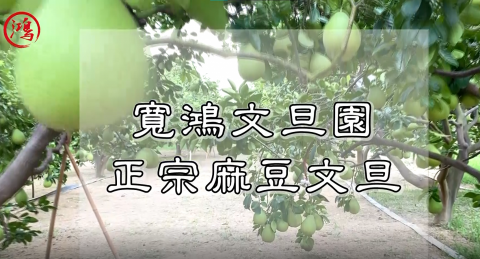 YUTSUNG-LIN - 農戶介紹