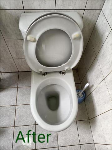 曾小姐（專做清潔、收納、搬家打包） - 