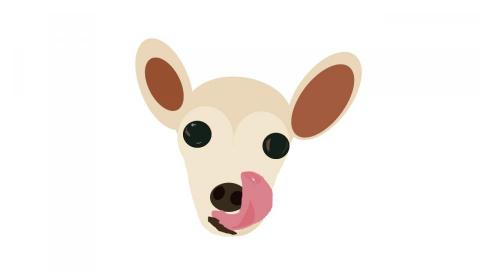 提供遛狗牽繩服務的專家愛遛狗