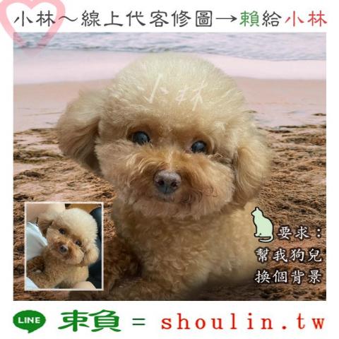 小林影像 - ●小林線上～代客修圖合成
(依難易度合理收費)
 ●1.賴給小林&rarr;  shoulin.tw 
● 2.報價並轉帳
 ●3.回傳給檔案
 ●4.無限次修改