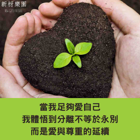 新枒樂園 - #療癒小語