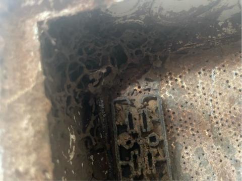 24H專業生物防治(病媒防治) -  24H專業生物防治(病媒防治) -