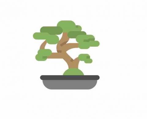 提供優化師服務的專家黃柏霖