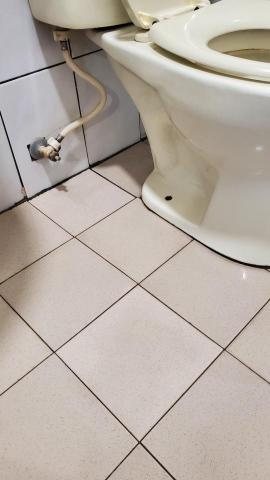 張小姐 - 清潔後