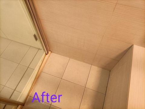 曾小姐（專做清潔、收納、搬家打包） - 