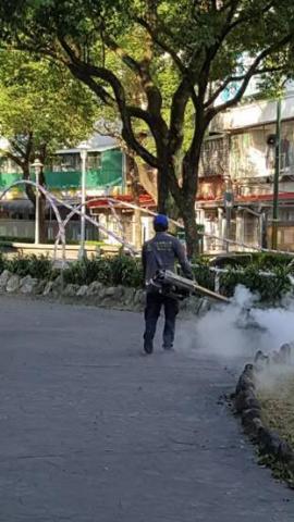 楊文濱 - 公園施作（登革熱疫情防治）