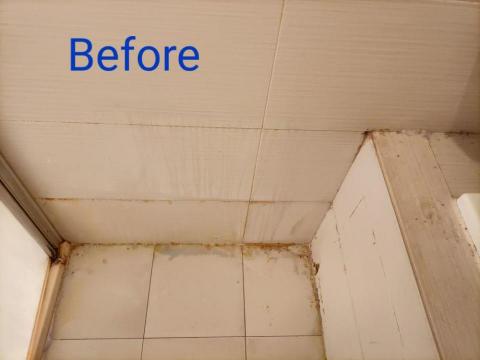 曾小姐（專做清潔、收納、搬家打包） - 