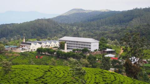 貝朵芙茶坊 - 走訪斯里蘭卡莊園